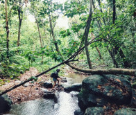 Tour Phong Nha Kẻ Bàng 2 ngày 1 đêm: Vườn Thực Vật Thác Gió – Động Phong Nha – Động Thiên Đường – Sông Chày Hang Tối