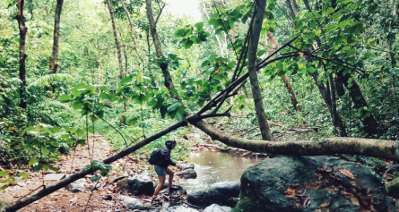 Tour Phong Nha Kẻ Bàng 2 ngày 1 đêm: Vườn Thực Vật Thác Gió – Động Phong Nha – Động Thiên Đường – Sông Chày Hang Tối