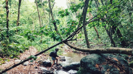 Tour Phong Nha Kẻ Bàng 2 ngày 1 đêm: Vườn Thực Vật Thác Gió – Động Phong Nha – Động Thiên Đường – Sông Chày Hang Tối
