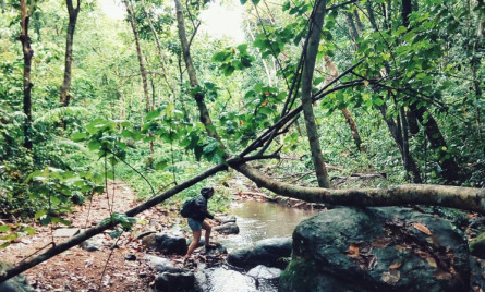 Tour Phong Nha Kẻ Bàng 2 ngày 1 đêm: Vườn Thực Vật Thác Gió – Động Phong Nha – Động Thiên Đường – Sông Chày Hang Tối