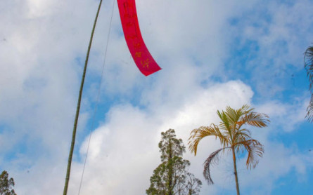 Du xuân Quảng Trị ghé thăm Chùa Sắc Tứ Tịnh Quang