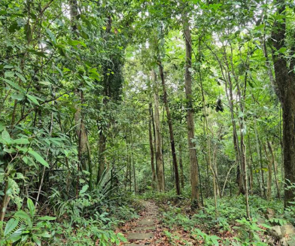 Tourdongphongnhavuonthucvat 3